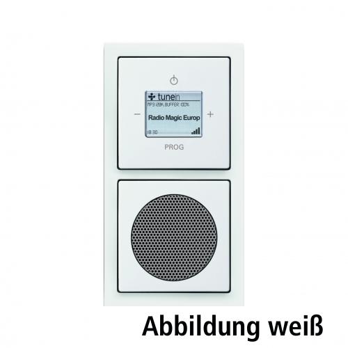 Busch-Jaeger Unterputzradio (WLAN, Edelstahl)